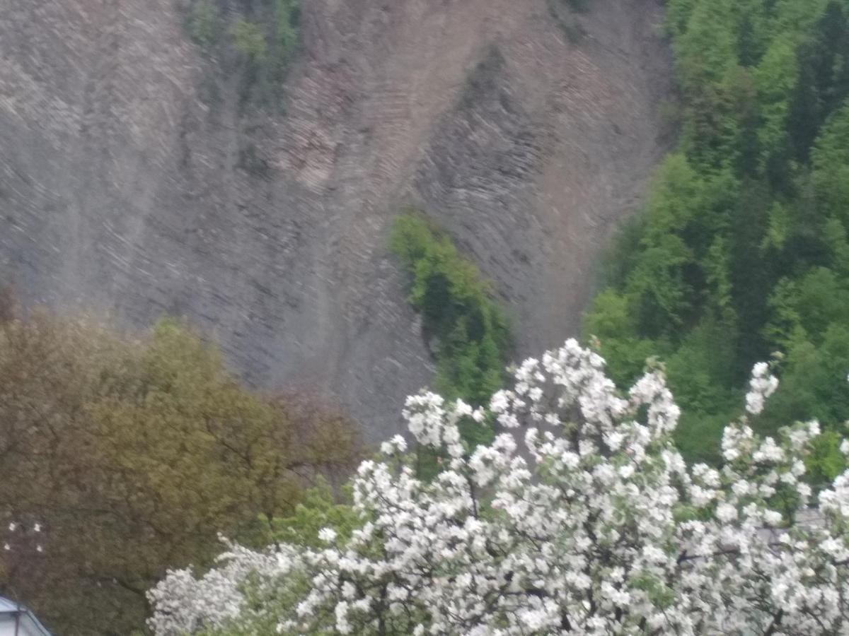Zelena Sadyba Bila Stavka Yaremche Exterior foto