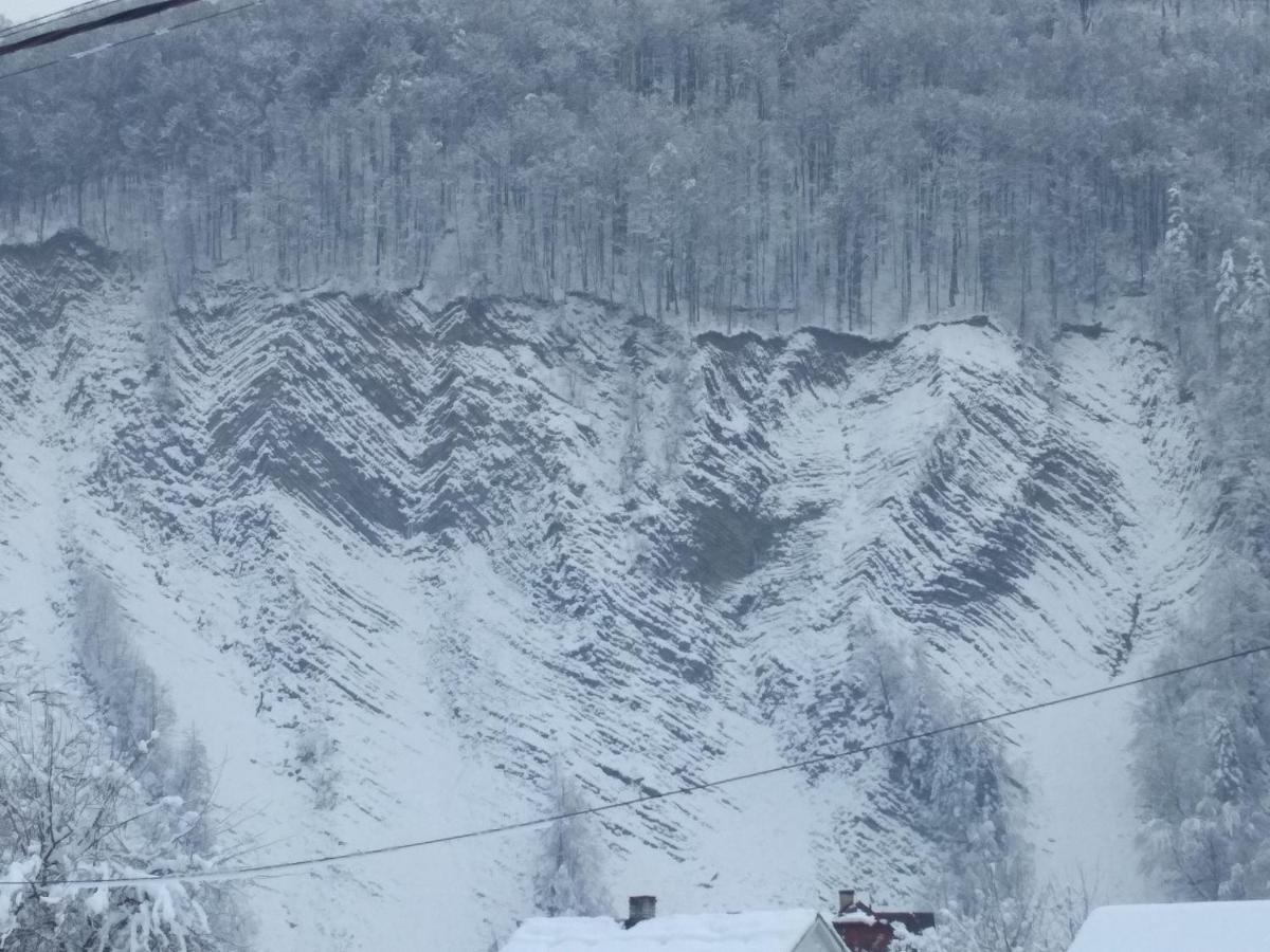 Zelena Sadyba Bila Stavka Yaremche Exterior foto