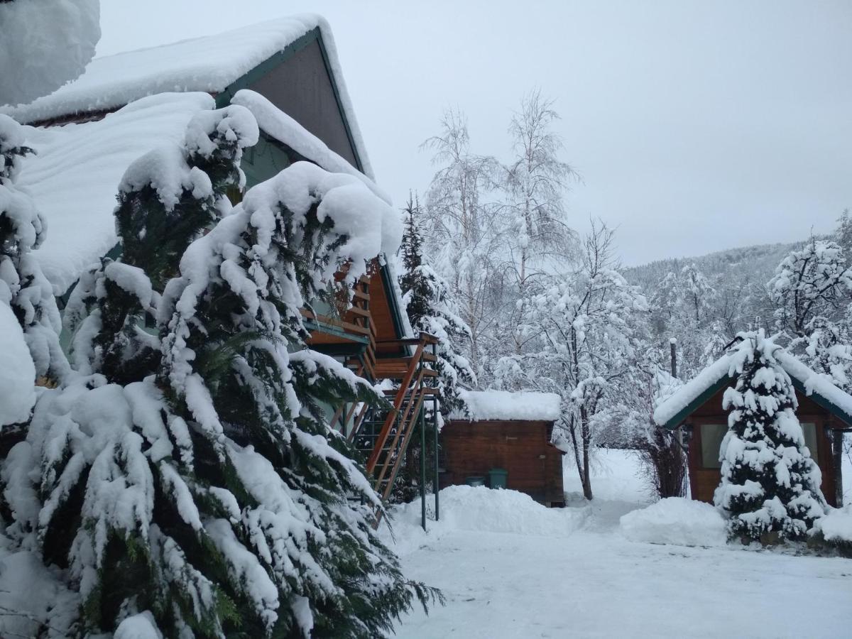 Zelena Sadyba Bila Stavka Yaremche Exterior foto